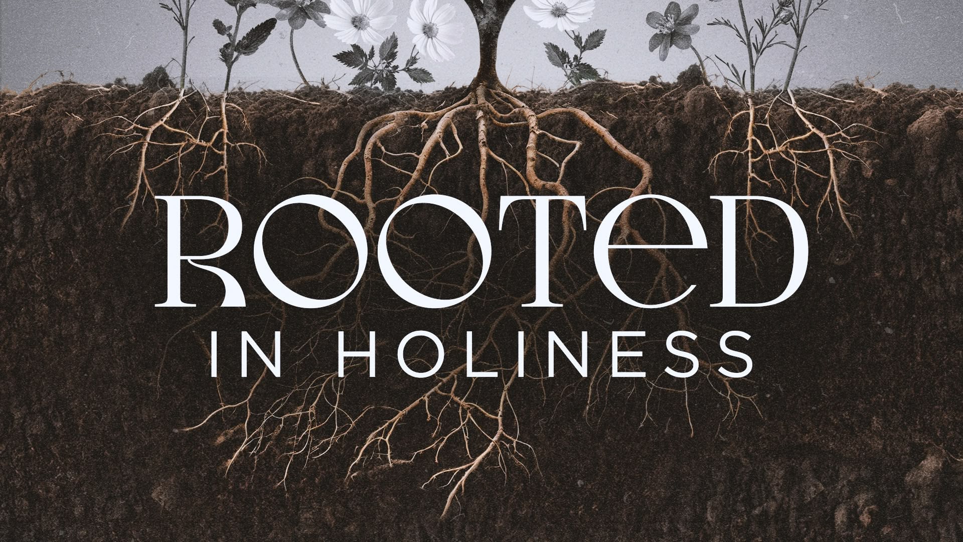 Rooted in Holiness sermon graphic title image